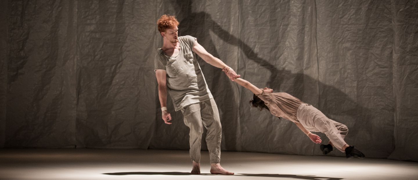 Werbebild des nächsten Deal der Woche DDW Chamäleon von Chamäleon DDW