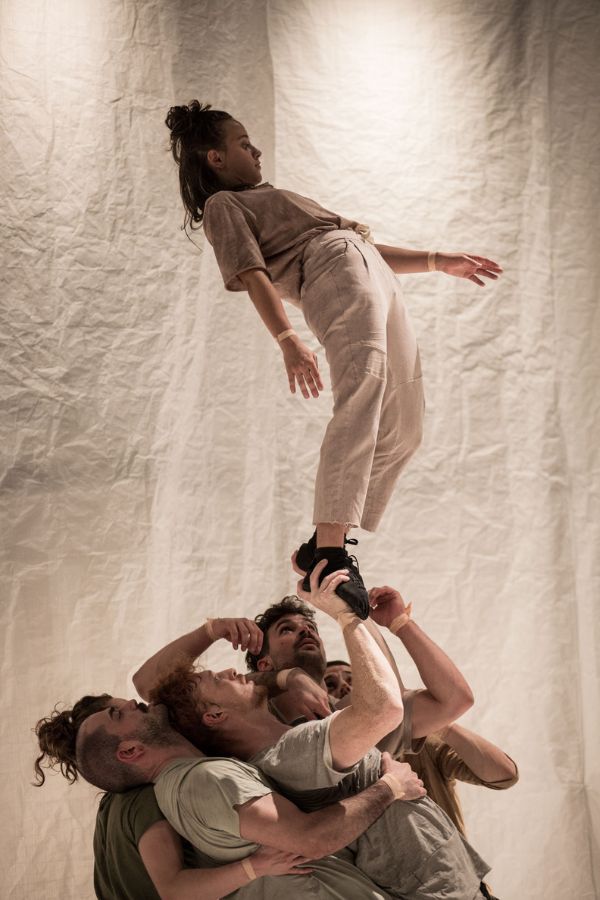 2. Werbebild des Deals DDW Chamäleon von Chamäleon DDW