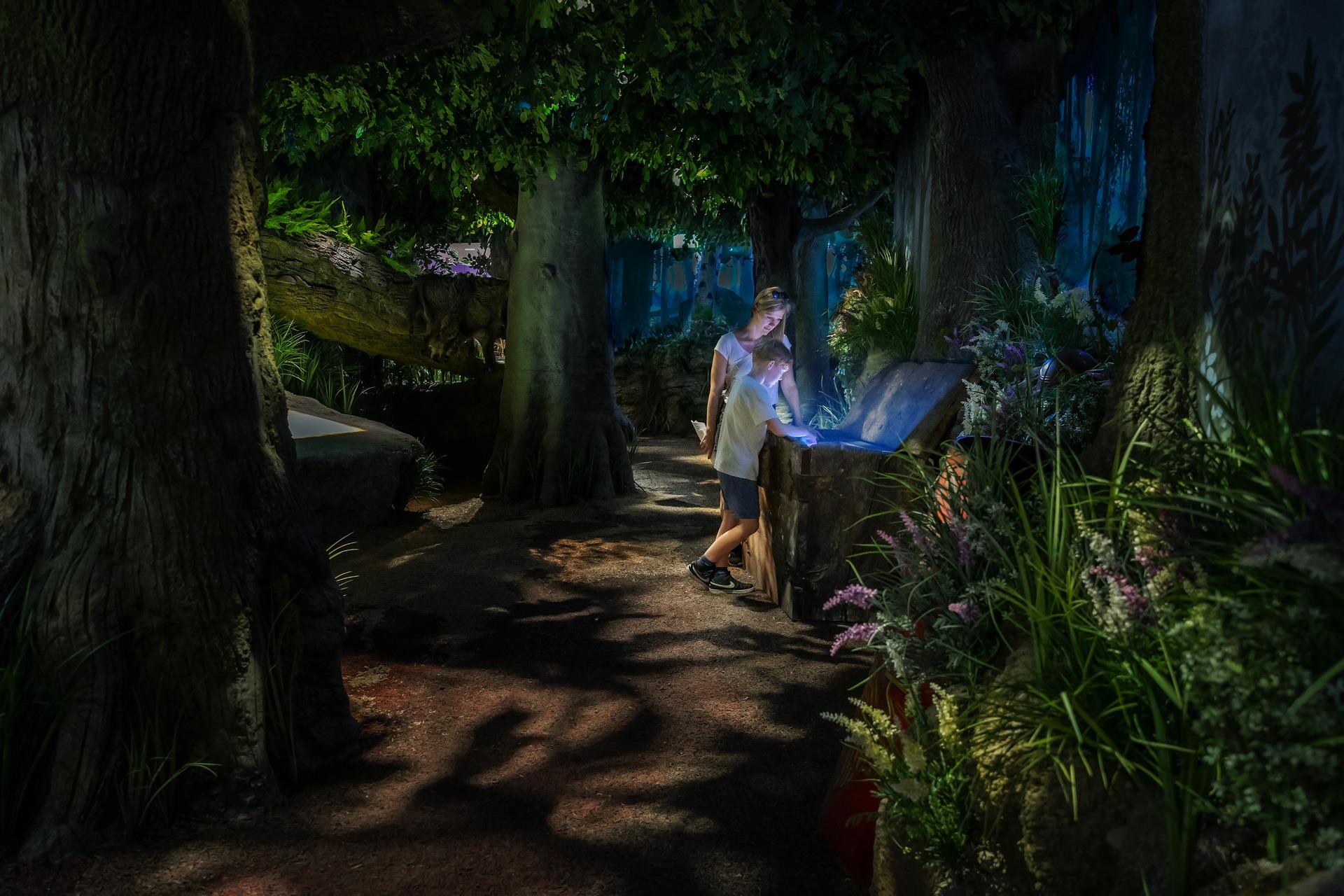 Werbebild des Deals Deutschlandmuseum von Deutschlandmuseum