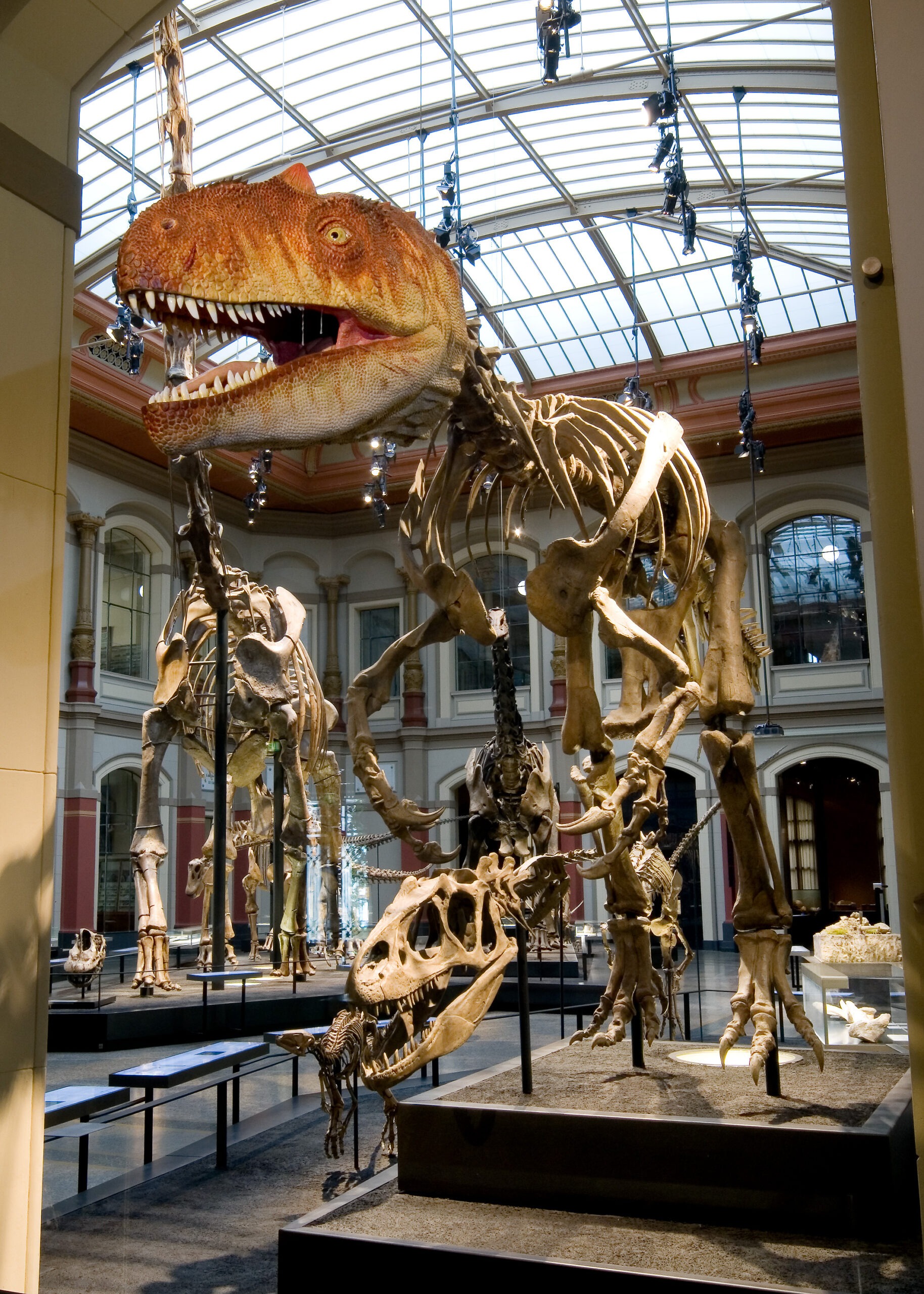 2. Werbebild des Deals DDW Museum für Naturkunde Berlin von Museum für Naturkunde Berlin