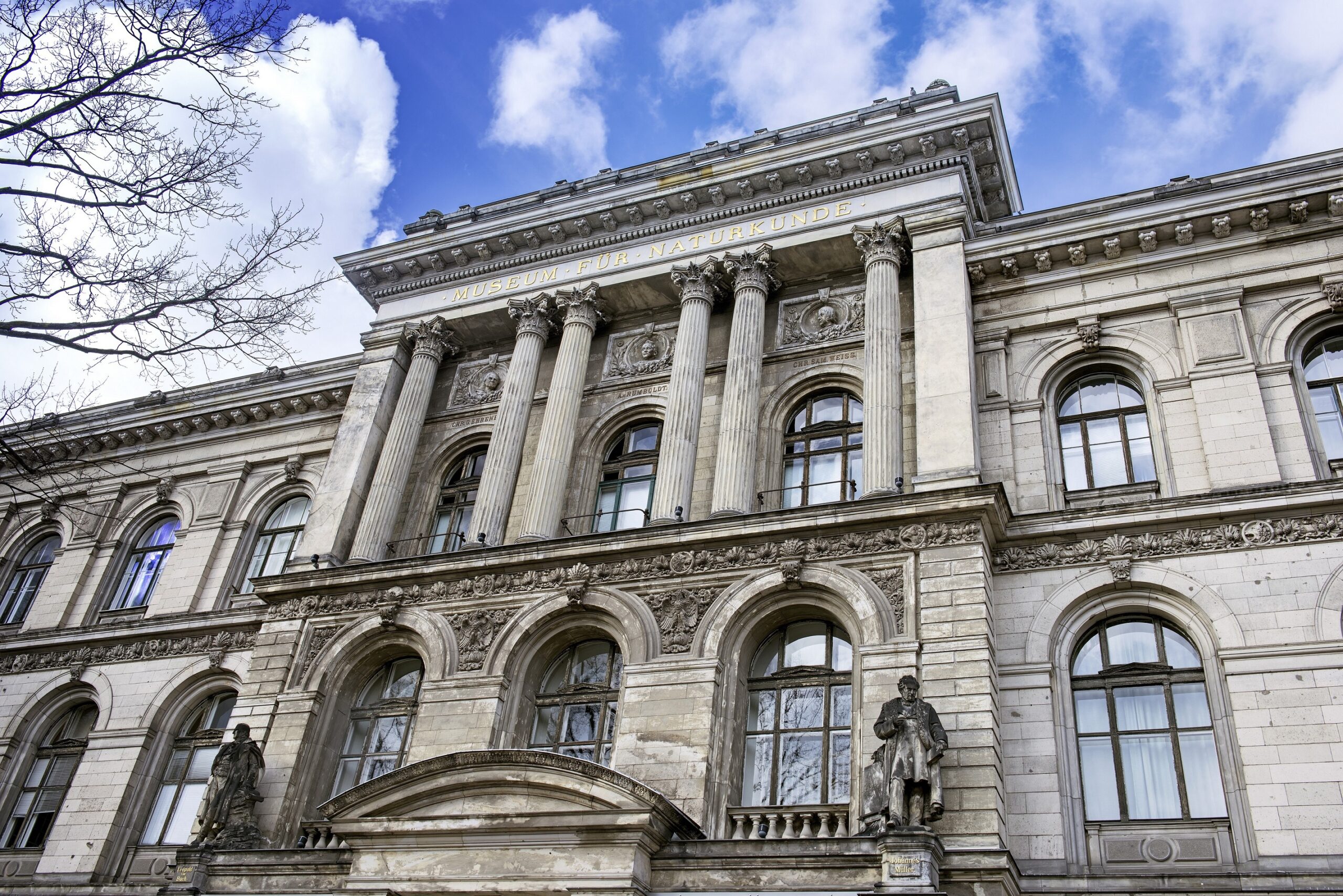 Werbebild der Firma Museum für Naturkunde Berlin